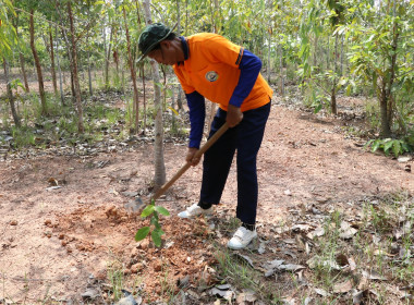 สหกรณ์จังหวัดบึงกาฬ พร้อมด้วยสหกรณ์การเกษตรเมืองบึงกาฬ ... พารามิเตอร์รูปภาพ 13